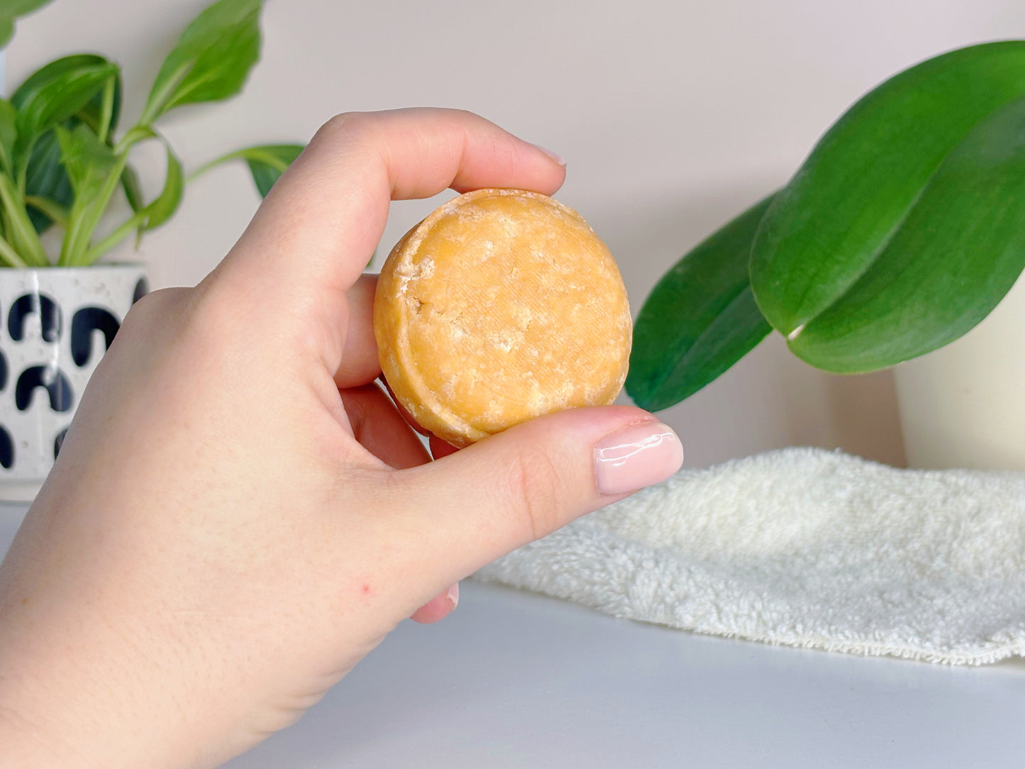 Spiced Pepper and Wood Shampoo Bar
