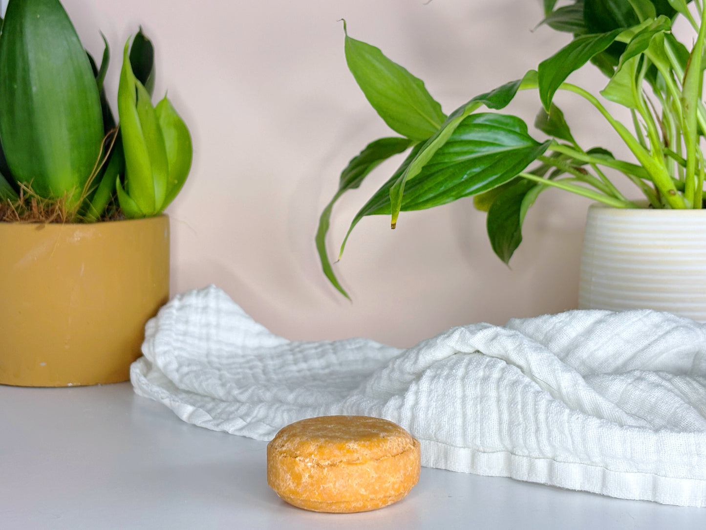 Honey Shampoo Bar