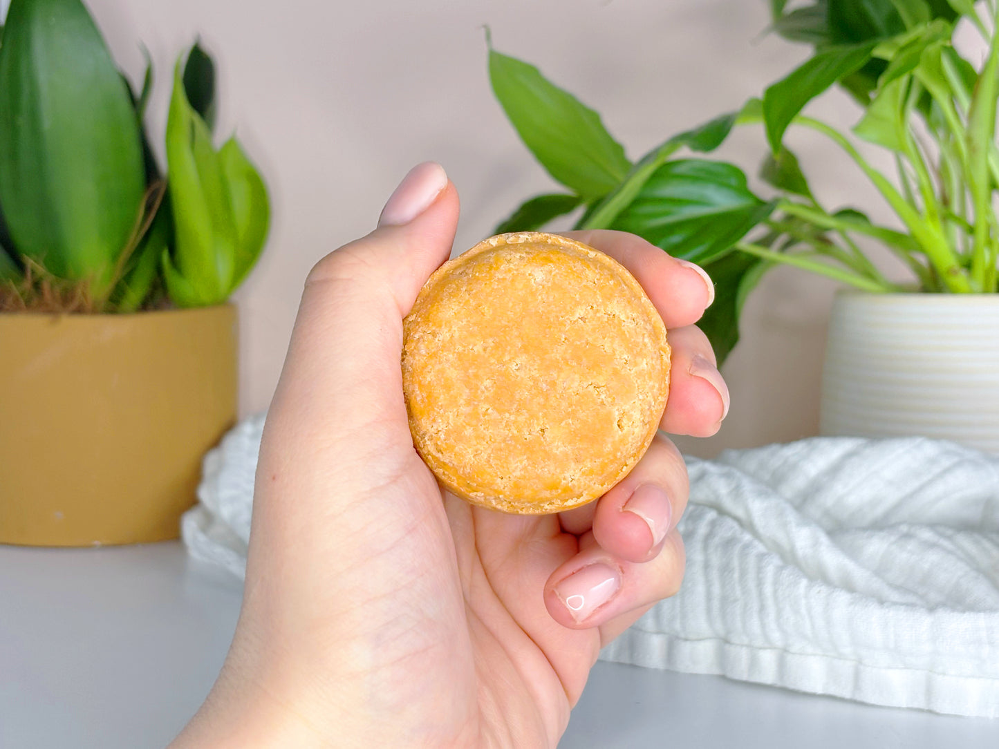Honey Shampoo Bar